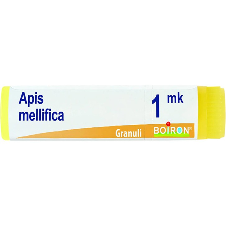 APIS MELLIFICA MK GL BO