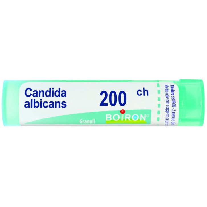 CANDIDA ALBICANS 200CH GR