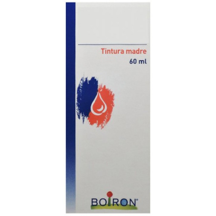 HYPERICUM PERF TM 60ML BOIRON