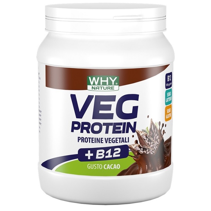 WHYNATURE VEG PROTEIN CAC 450G