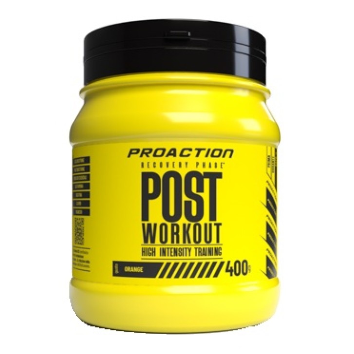 PROACTION FIT POST WORKOUT 400GR