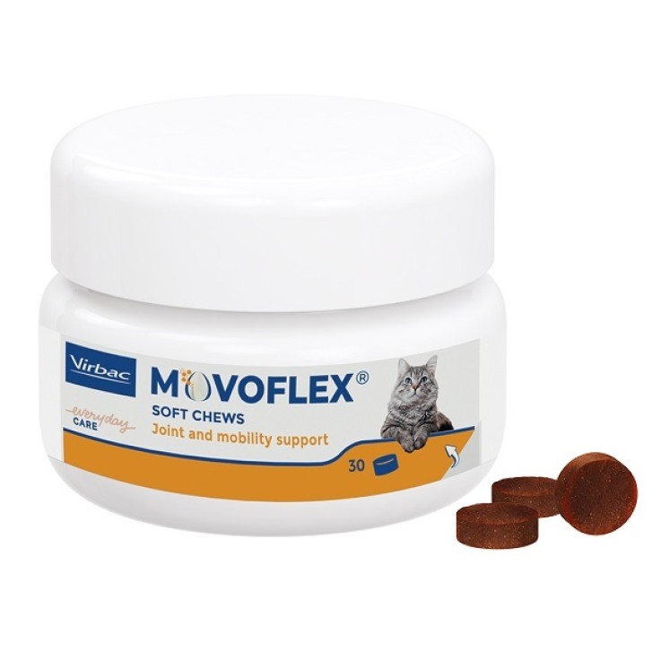 V MOVOFLEX GATTO 30CPR MASTIC.